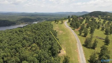 Enjoy extravagant views from the gated community of The Bluffs - photo 2
