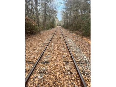 This +/-19-acre property in Jasper County, MS, offers a - photo 4
