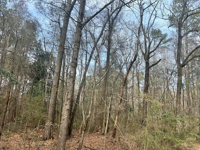 This +/-19-acre property in Jasper County, MS, offers a - photo 6