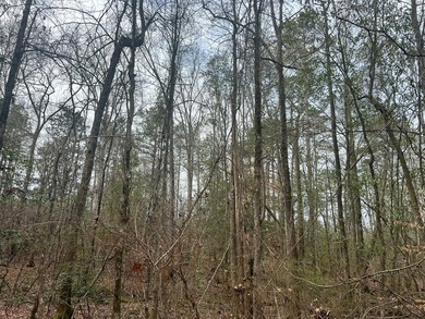 This +/-19-acre property in Jasper County, MS, offers a - photo 8
