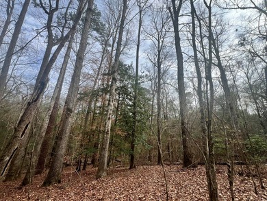 This +/-19-acre property in Jasper County, MS, offers a - photo 9