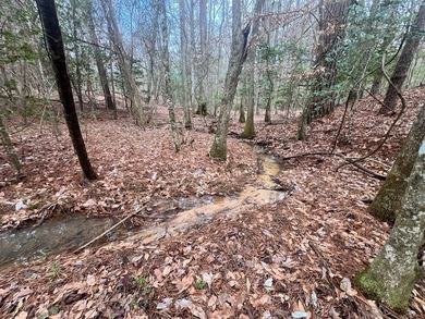 This +/-19-acre property in Jasper County, MS, offers a - photo 10