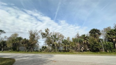 Port Charlotte Waterway Lakes Area Lot For Sale in Port Charlotte Florida