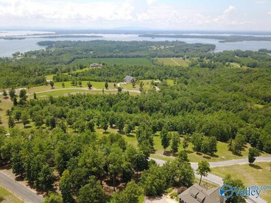 Enjoy extravagant views from the gated community of The Bluffs - photo 4