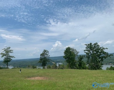 Enjoy extravagant views from the gated community of The Bluffs - photo 6