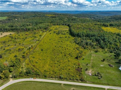 Lake Acreage For Sale in Friendship, New York