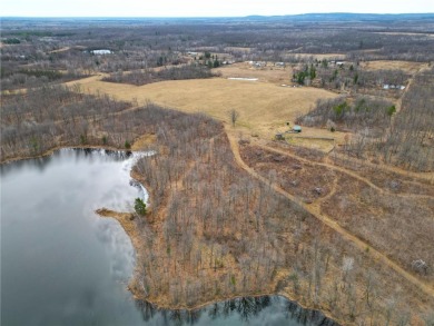 (private lake, pond, creek) Acreage For Sale in Bruce Wisconsin