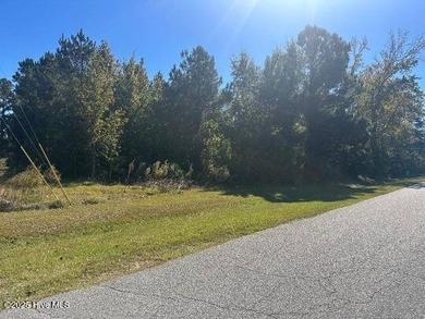 Pamlico River Acreage For Sale in Chocowinity North Carolina