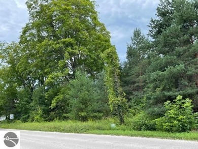 Lake Lot For Sale in Central Lake, Michigan