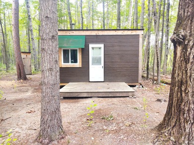 Rush Lake - Montmorency County Lot For Sale in Atlanta Michigan