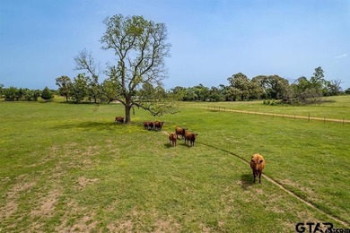 Welcome to 9567 CR 4221 in Frankston, TX - a beautifully - photo 22