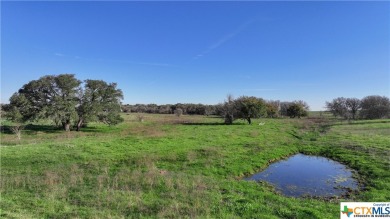 Lake Acreage For Sale in Kingsbury, Texas