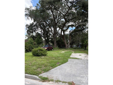 Buildable lot and a half, 117' X 75' in X flood zone. In an - photo 2