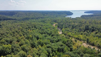 Lake Acreage For Sale in Dover, Tennessee