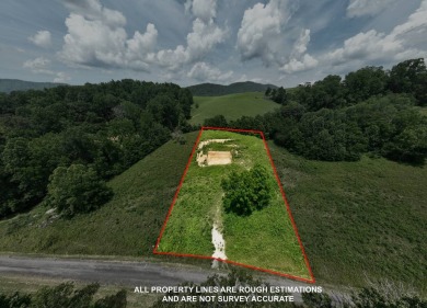 Lake Lot For Sale in Butler, Tennessee