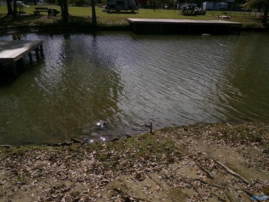 REDUCED TO SALE Lakefront RV Getaway with Pier Three Mile Area - photo 13