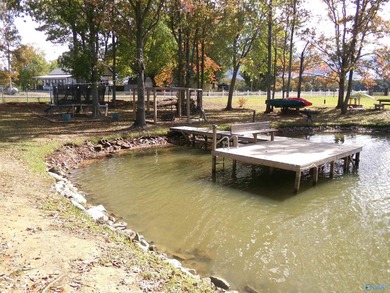 REDUCED TO SALE Lakefront RV Getaway with Pier Three Mile Area - photo 15