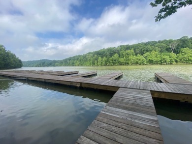 Lakefront Lot w/Dock! - photo 3