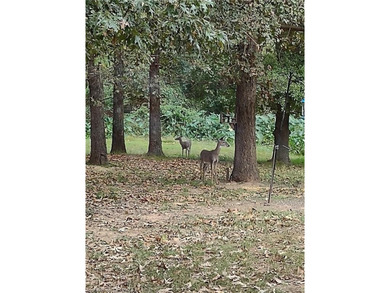 This stunning custom-built home, nestled within a prestigious