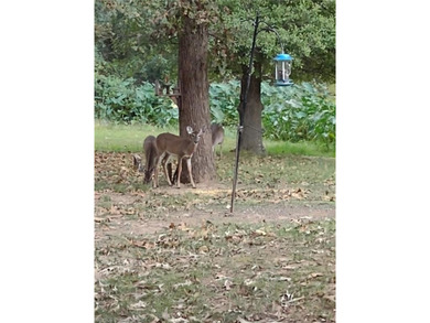 This stunning custom-built home, nestled within a prestigious