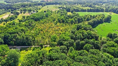 Discover the potential of this secluded wooded lot in Douglass - photo 3