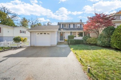 Lake Home For Sale in Wayne Twp., New Jersey