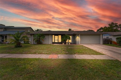 Lake Home For Sale in Valrico, Florida
