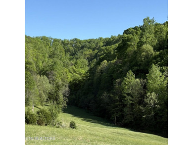 Want an affordable lakefront lot with beautiful panoramic views - photo 2
