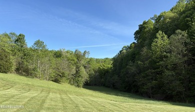 Want an affordable lakefront lot with beautiful panoramic views - photo 3