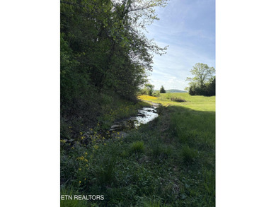 Want an affordable lakefront lot with beautiful panoramic views - photo 4