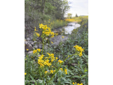 Want an affordable lakefront lot with beautiful panoramic views - photo 5