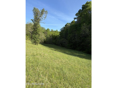 Want an affordable lakefront lot with beautiful panoramic views - photo 8