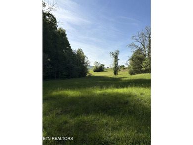 Want an affordable lakefront lot with beautiful panoramic views - photo 9
