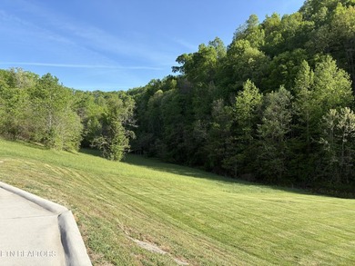Want an affordable lakefront lot with beautiful panoramic views - photo 10