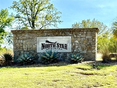 Beautiful Corner Lot in North Star Pointe on Lake Bridgeport- - photo 12