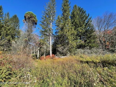 Towamensing Trails Lake Lot For Sale in Albrightsville Pennsylvania