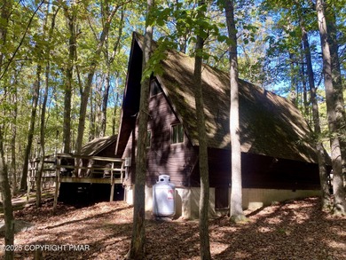 Lake Choctaw  Home For Sale in Hazleton Pennsylvania