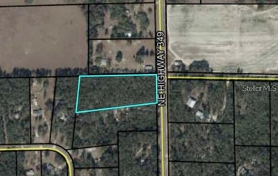 Suwannee River Acreage For Sale in Old Town Florida