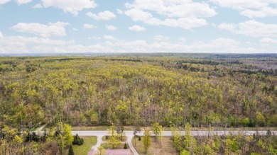 Lake Acreage For Sale in Lewiston, Michigan