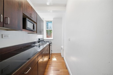 Welcome to this move-in-ready garden-level studio co-op at - photo 13