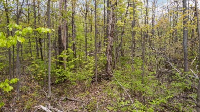 Lake Acreage For Sale in Lewiston, Michigan