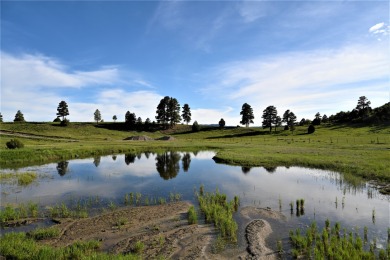 (private lake, pond, creek) Acreage For Sale in Chama New Mexico