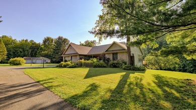 (private lake, pond, creek) Home For Sale in Portland Michigan