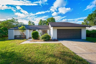 Lake Home For Sale in Tampa, Florida