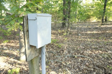 Wholesale opportunity to buy 174 recorded and surveyed lots - photo 46