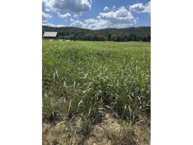 Lake Acreage For Sale in Guion, Arkansas