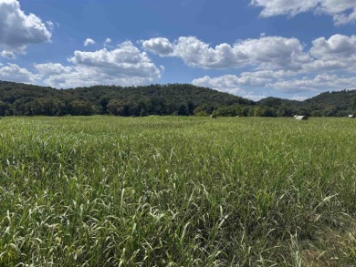 2 large river lots in White River Run with frontage on the world - photo 2