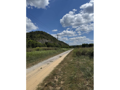 2 large river lots in White River Run with frontage on the world - photo 3