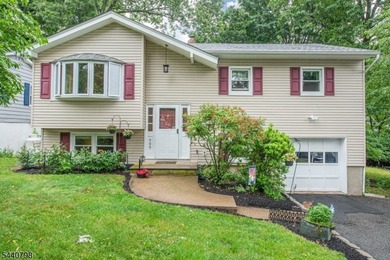 Meticulously Maintained 3 Bedroom 1.5 Bath Bi-level. Nice Curb - photo 1