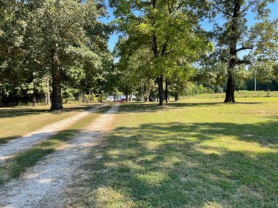 (private lake, pond, creek) Home For Sale in Cave City Arkansas